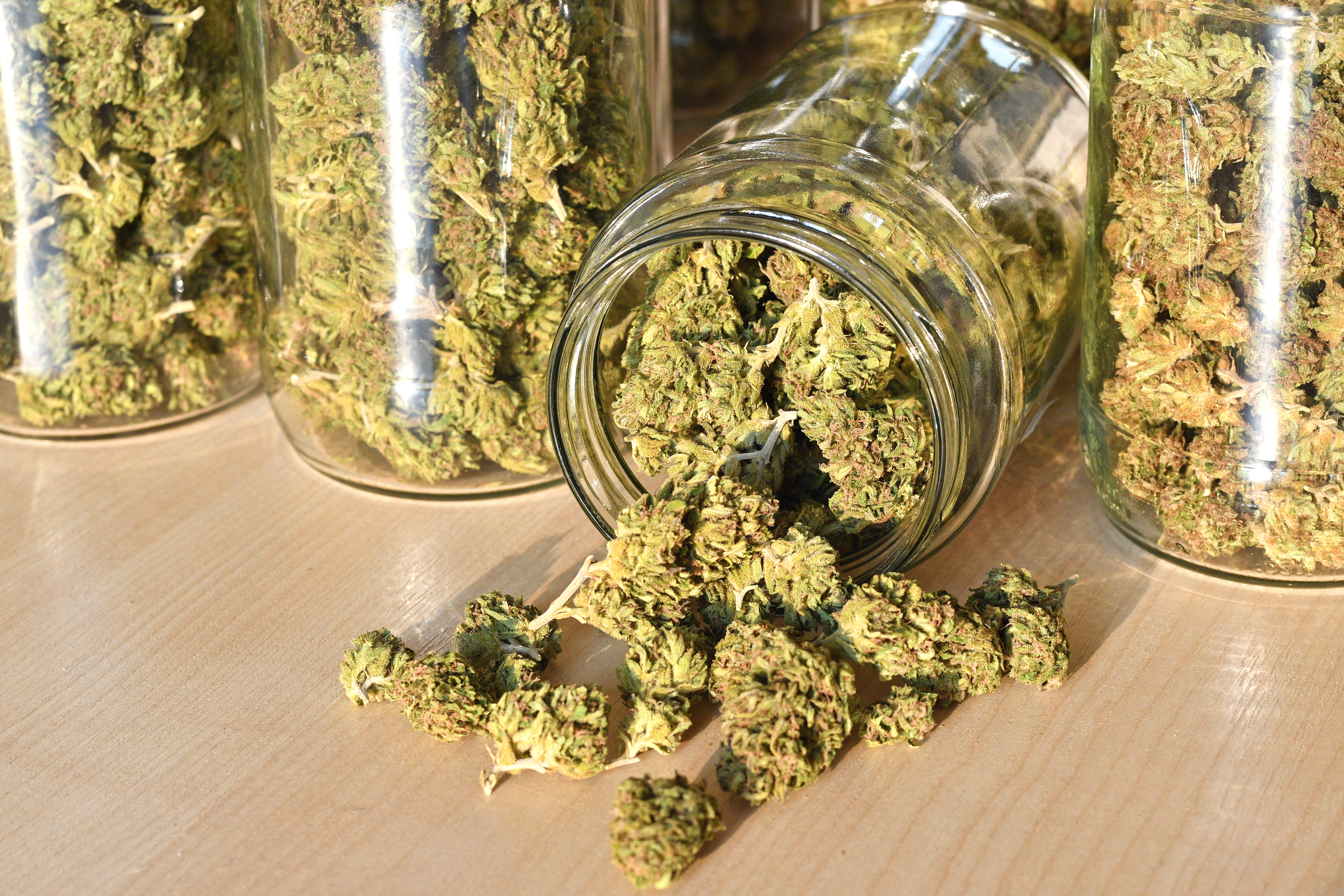 cannabis storage